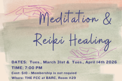 New Moon Reiki Healing - 1