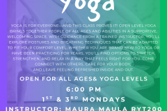Open Level Yoga - 1